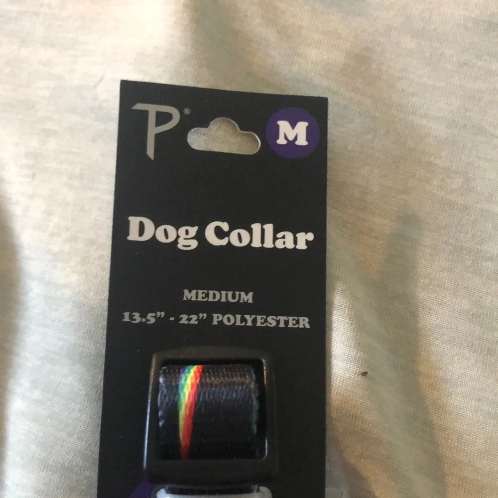 Pink Floyd Dog Collar with Rainbow Stripes